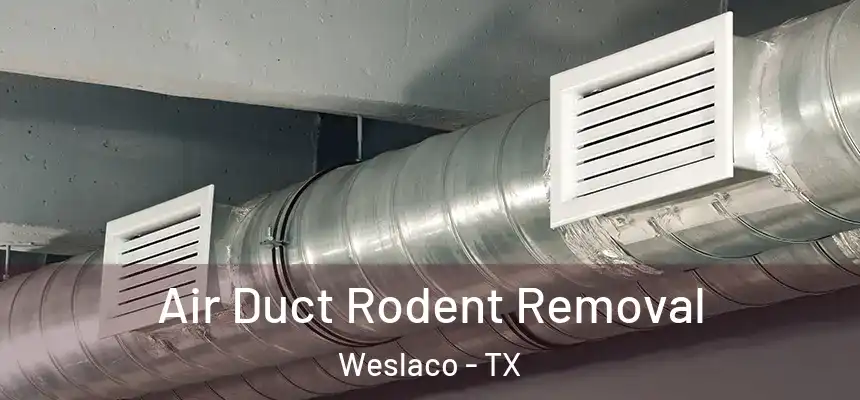  Air Duct Rodent Removal Weslaco - TX