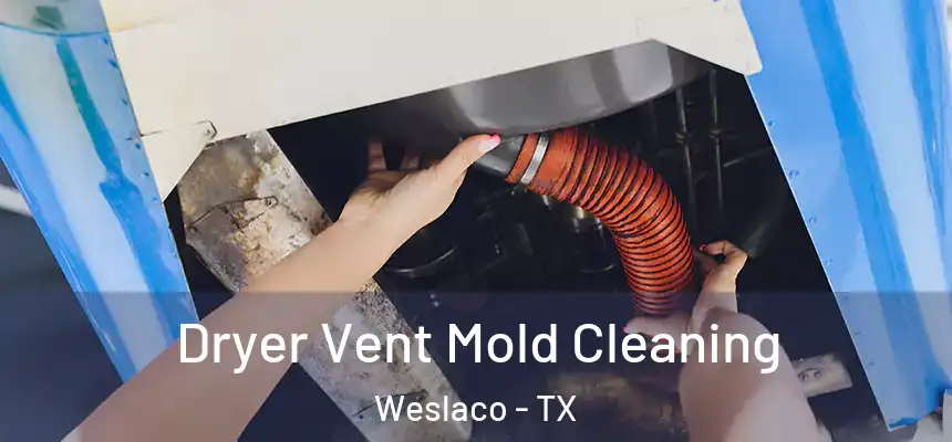  Dryer Vent Mold Cleaning Weslaco - TX