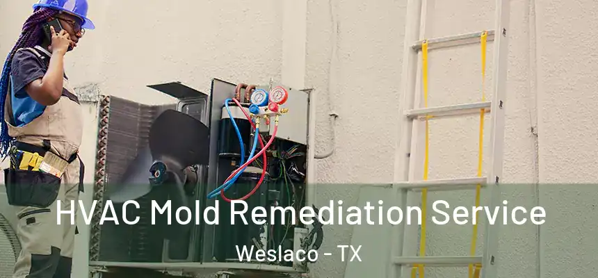 HVAC Mold Remediation Service Weslaco - TX