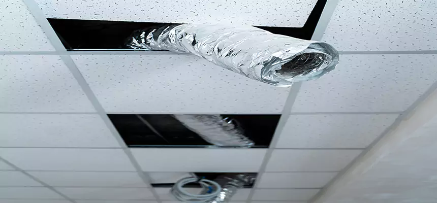 Affordable HVAC Sanitizing After Pest Removal in Weslaco