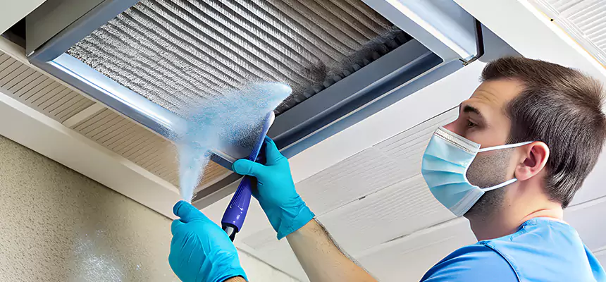 Proactive Dryer Vent & Auxiliary Duct Pollen Cleanup in Weslaco, TX