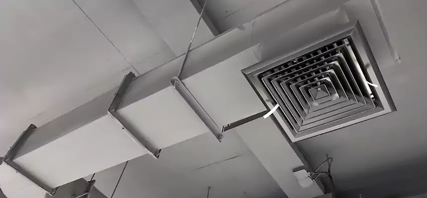 Our Pest Removal From Ducts Services in Weslaco, TX