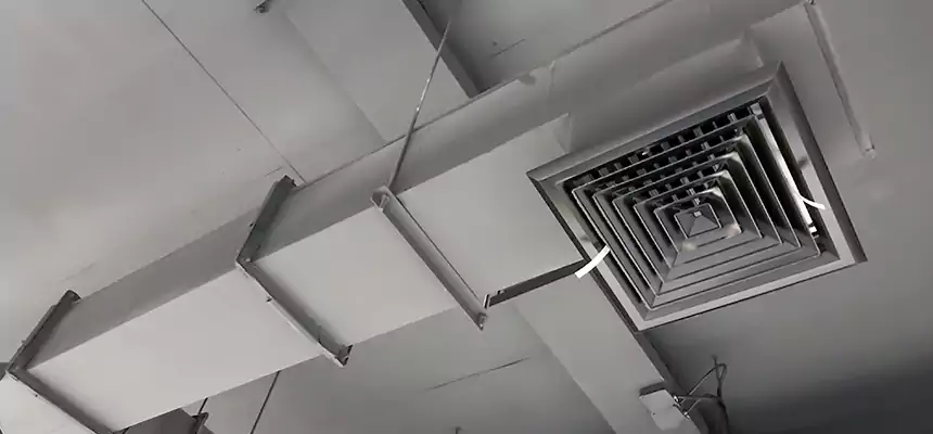 Our Rodent Droppings In Vents Services in Weslaco, TX