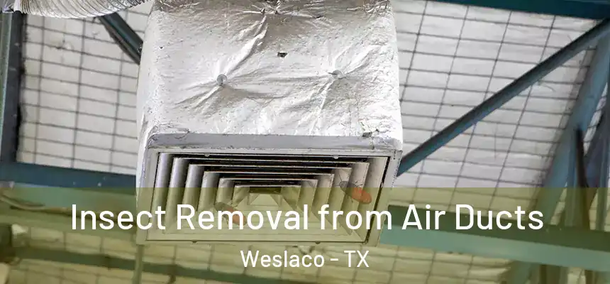  Insect Removal from Air Ducts Weslaco - TX