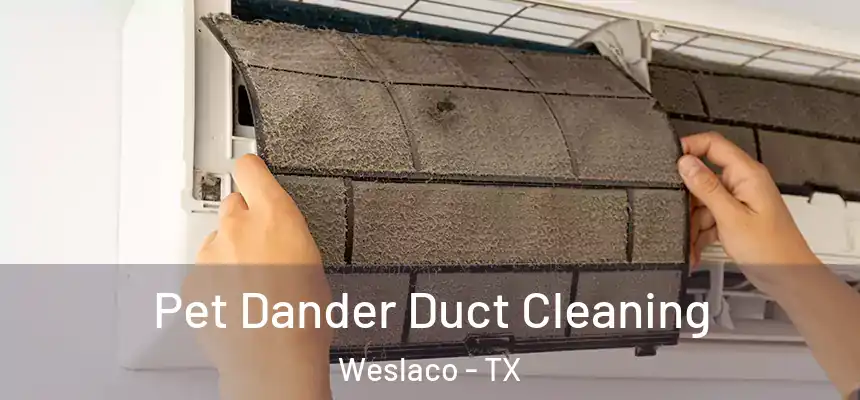  Pet Dander Duct Cleaning Weslaco - TX