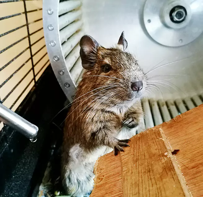 Why Homeowners & Businesses Trust Us Weslaco, TX