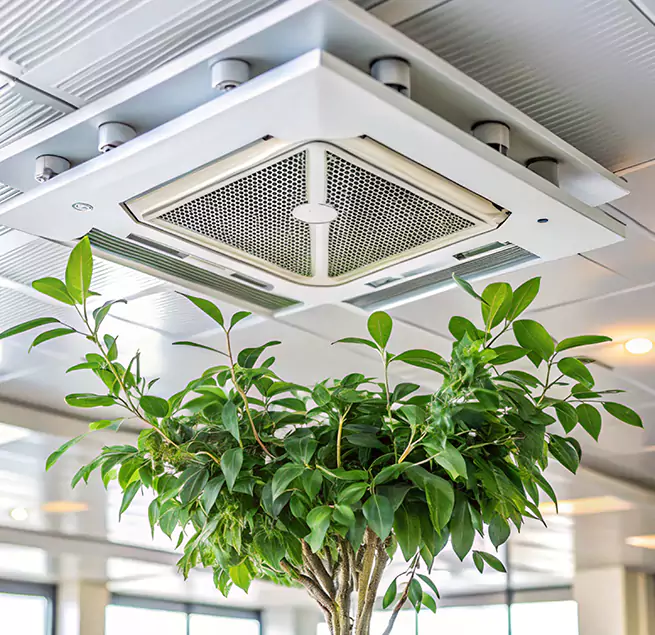 Why Homeowners & Businesses Trust Us in Weslaco, TX?